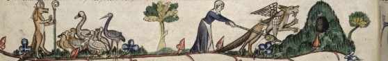 cropped-geese-latin-manuscript3.jpeg